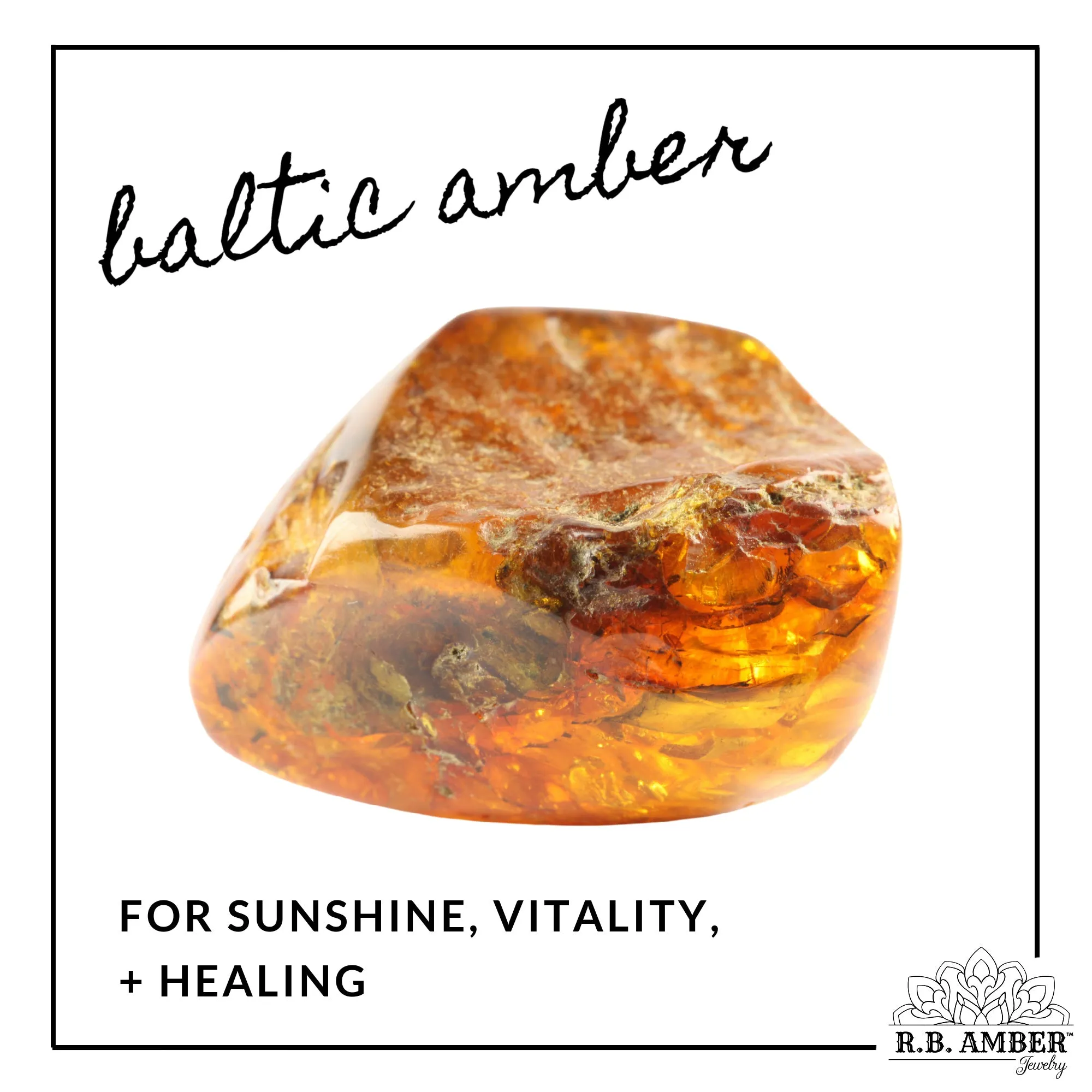 Adults | Dark Cognac Baltic Amber Necklace
