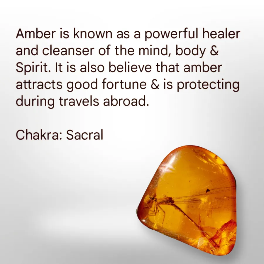 Angel Earrings - Amber