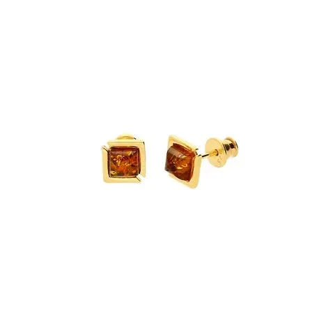 MILENA Elegant Amber Square Stud Earrings Gold Plated