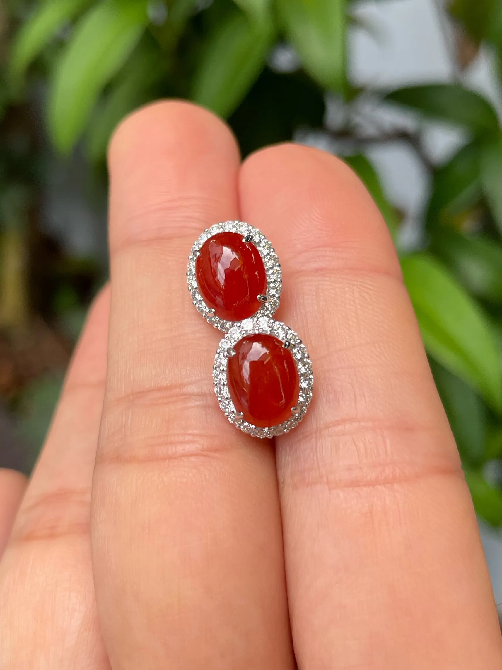 Red Jade Cabochon Earrings (NJE045)