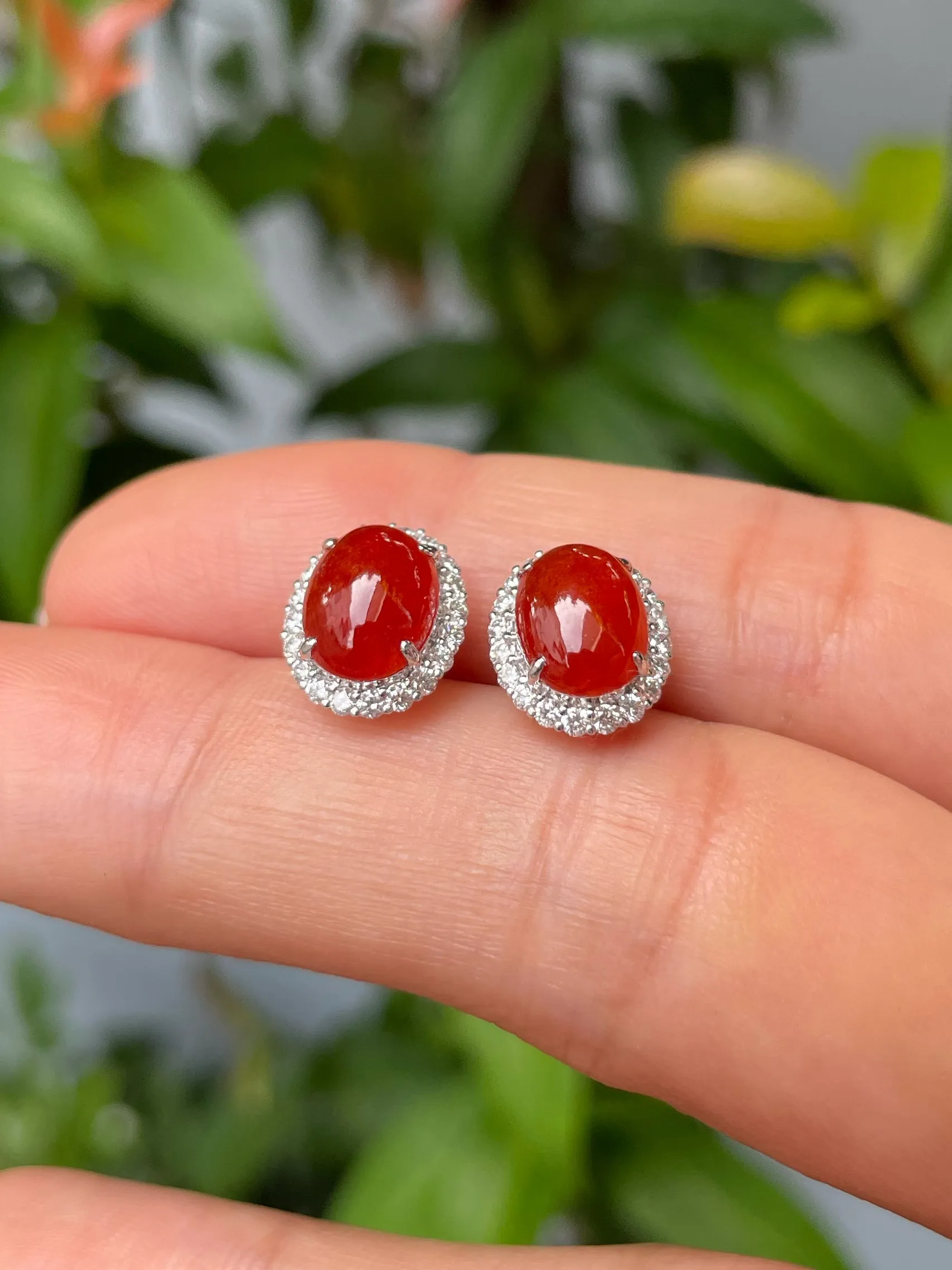 Red Jade Cabochon Earrings (NJE045)
